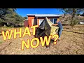 VEVOR 10X10 Gazebo Screen Tent