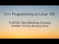 C Programming on LInux - WolfSSL TLS Nonblocking client example
