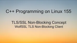 C Programming on LInux - WolfSSL TLS Nonblocking client example