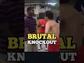 Download Lagu Brutal Street Fight Caught on Camera. #boxing #martialarts #viralvideo #selfdefense #fight #fyp #mma