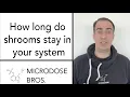 How Long Do Shrooms Stay in Your System