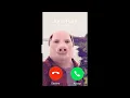 When you decline John Pork's call