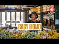 Download Lagu Amapiano | Groove Cartel Presents Baby Momo