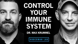 How Your Immune System Works & How to Improve It | Dr. Max Krummel