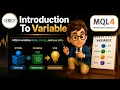 MQL4 Introduction To Variable Understand the Core Concept