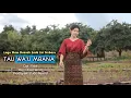 Download Lagu OLIVA HELMIN // Lagu Sedih Ende Lio Terbaru - TAU WA'U MBANA 2024 (OMV)