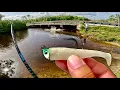 Download Lagu SNOOK BLOWING UP NONSTOP UNDER ROADSIDE BRIDGE!