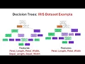 Decision Trees Python Implementation on IRIS Dataset