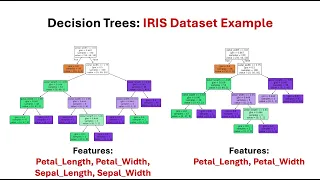 Decision Trees Python Implementation on IRIS Dataset