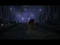 How to fix Blaidd Glitch in Ranni the Witch Quest Elden Ring