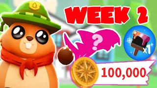 summer camp week 2 update adopt me roblox riivv3r