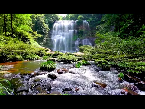 Download MP3 Waterfall flowing over rocks in forest 4k. Relaxing flowing water, White Noise for Sleep, Meditation