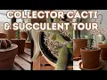 Download Lagu 2025 Collector Cactus \u0026 Succulent Tour | Curated and Intentional