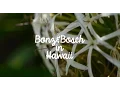 Kendama Co Presents Bonz Bosch in Hawaii