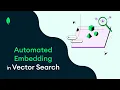 Automated Embedding in Vector Search
