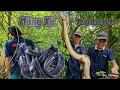 Download Lagu \
