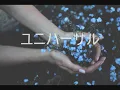 Yuni Wa - The Light (Official Audio)