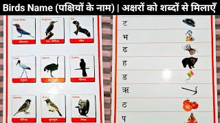 birds name in english and hindi with picture | chidiya ke naam english mein hindi mein |पक्षी के नाम