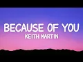 Download Lagu Keith Martin - Because of You (Lyrics)