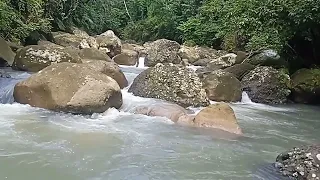 suara air mengalir terapi air untuk semua jenis burung ampuh terapiair terapiburung suaraalam