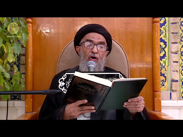 السيد حسين الكربلائي | محاضرات في نهج البلاغة (382)