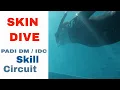 Download Lagu PADI Skill Circuit - Skin Dive Skill PADI IDC \u0026 Divemaster Skills Circuit