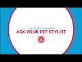 PetSmart Presents Ask Your Pet Stylist Vanity
