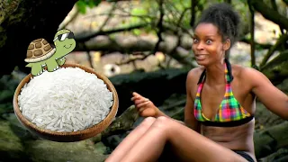 Survivor Rice Drama Part 1