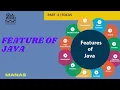 Feature of Java programming language