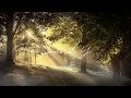 Download Lagu Grieg - Morning Mood (Extended version) [1 hour Non-Stop Loop]