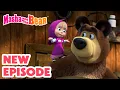 Masha and the Bear 2024 NEW EPISODE Well-beeing Best cartoon collection