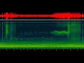 Download Lagu Audio Pertarungan Woodcock