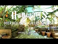 Herbology Greenhouse at Hogwarts - Cozy January