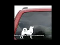 DXLING Vinyl Animals Car Sticker Husky - Review