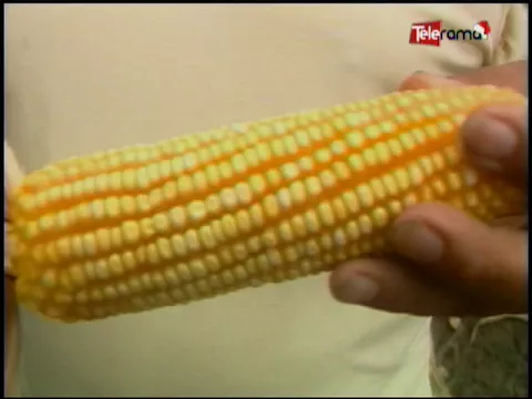 Ecuador Agropecuario 13-12-2017