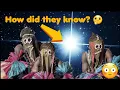 Download Lagu the dogon tribe and sirius b star system! How did they know? Ancient aliens? Advanced knowledge!