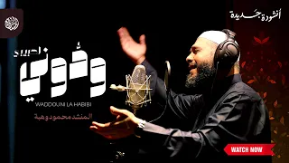 ودوني لحبيبي                      أنشودة جديدة دندنها