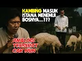 Download Lagu ANALOGI TERSIRAT CAK NUN TENTANG KAMBING MASUK ISTANA