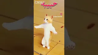 اديني نزلت لكم اغنيه باسم حبيبه 
