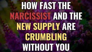 You Won T Believe How Fast The Narcissist And The New Supply Are Crumbling Without You NPD 