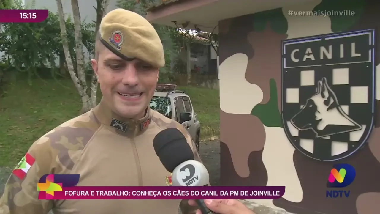 Fofura e trabalho: conheça os cães do canil da PM de Joinville