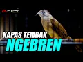 Lagu KAPAS TEMBAK GACOR NGEBREN RAPET