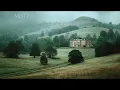 Misty countryside mornings | Piano Playlist