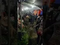 Download Lagu Kuto Karanganyar bumi Surakarta.