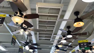 Ceiling Fan Display at Menards