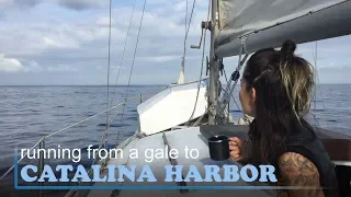 Running from a Gale to Cat Harbor on Catalina Island
