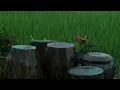 (No Ads) Rain Sounds for Sleep 🌧️ Gentle Thunderstorm ASMR for Deep Sleep, Relaxation & Meditation