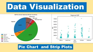 Data Visualization by Python Pie chart and Strip plots