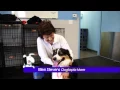 Dogtopia Bark Out - Bow Wow Bootcamp
