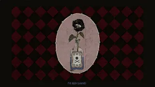 luvcat he s my man the anniversary with dr john cooper clarke lyric video 